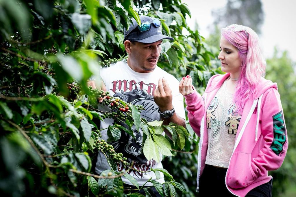 Coffee tour, in the coffee plantage